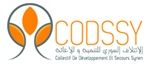 logo Codssy